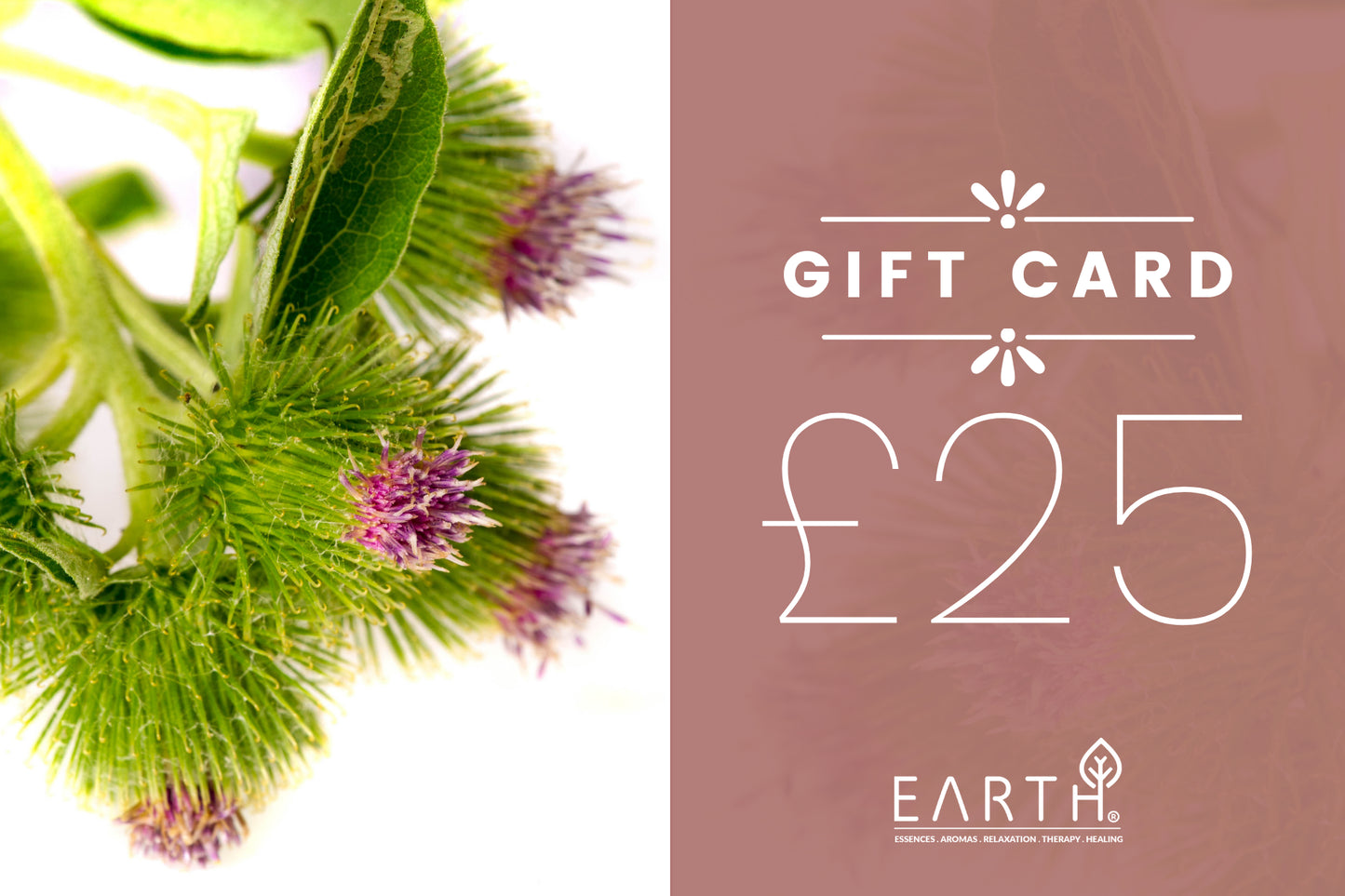 EARTH GIFT CARD