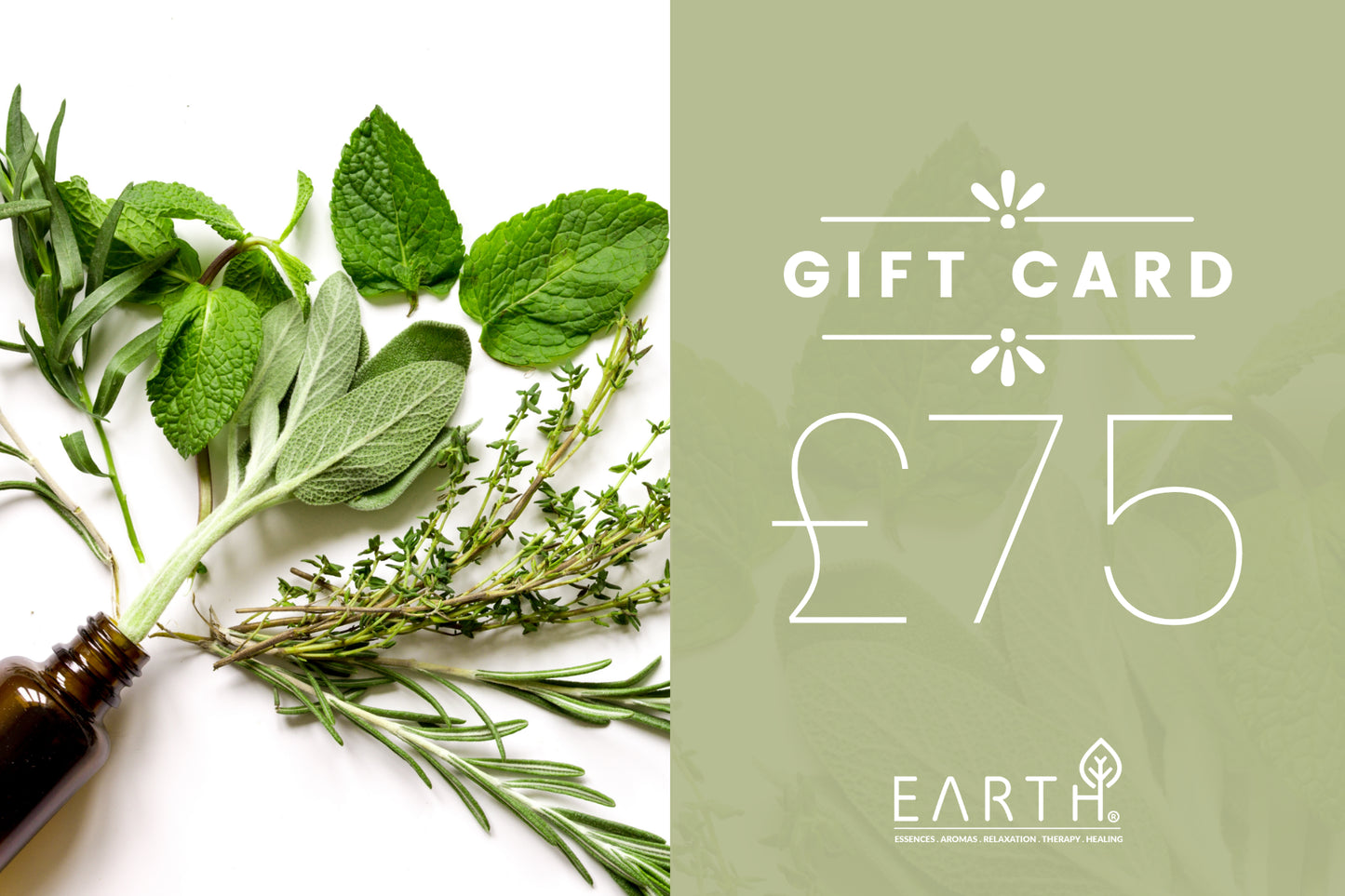 EARTH GIFT CARD