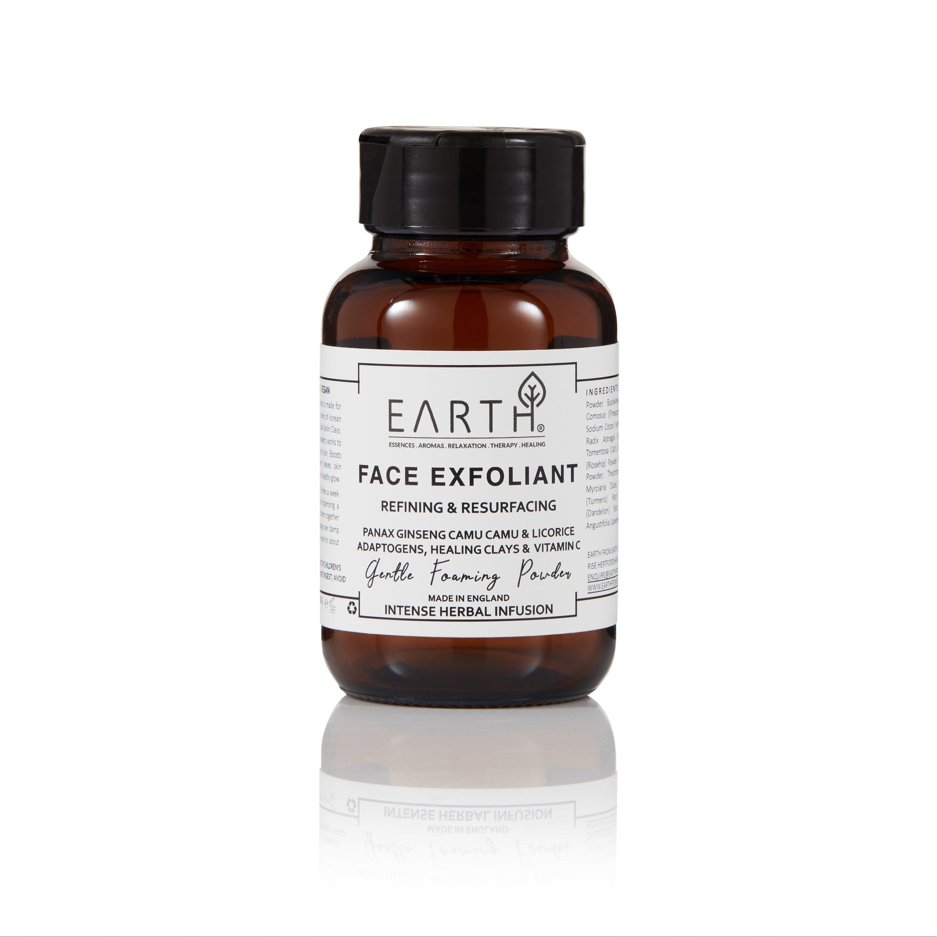 EARTH FACE EXFOLIANT - POWDER TO FOAM